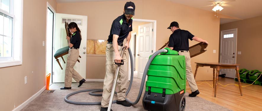 Flint, MI cleaning services